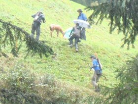 ghirone2014_05.jpg