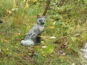 ghirone2014_09.jpg