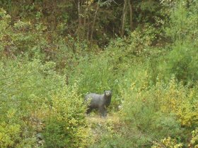 ghirone2014_10.jpg